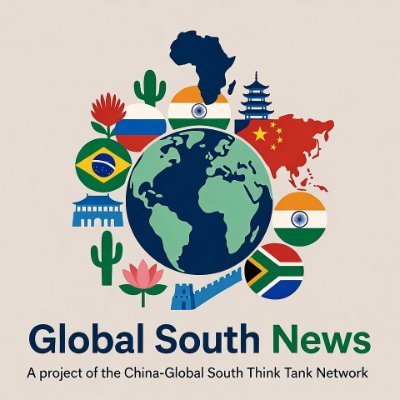 GlobalSouthNew's profile picture