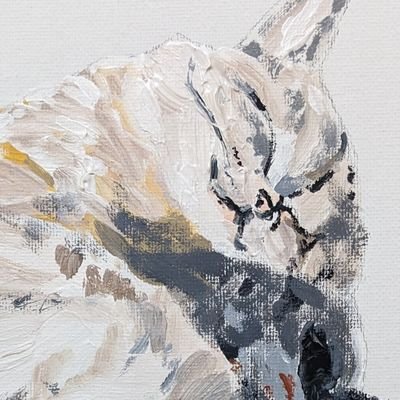 MizukiKoni59528's profile picture