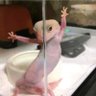 Mjckwmn's profile picture