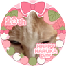 こんぶ profil fotoğrafı