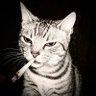 Jonathan's profile picture