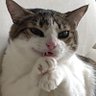 Hugo 的头像