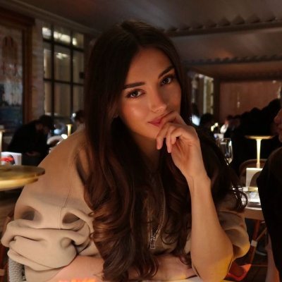 ulkudiebirisi's profile picture