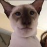 FadedWebbz profil fotoğrafı