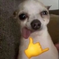 _kvxvk_'s profile picture