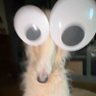 valorie danger's profile picture