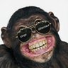 Profilbild von SINGE-DETECTIVE