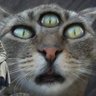 Profilbild von Weap8n