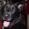 Tacy profil fotoğrafı