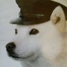 non's profile picture