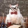 Captain DNA's profile picture