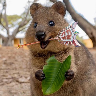 SwizzY281's profile picture