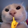 هورد طلایی(Altın Orda)'s profile picture