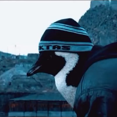 kofti26's profile picture