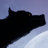 Profilbild von Wolfbane Games