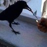 Alexander Siles's profile picture