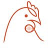 The NBA Chicken 🏔️🐔 profil fotoğrafı