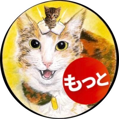 tamazouuu's profile picture