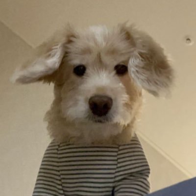 KeepZ's profile picture