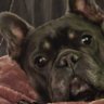 Profilbild von Jeremy