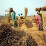 #Farmer #ProudFarming profil fotoğrafı