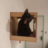 🐾🐾🍷🍷's profile picture