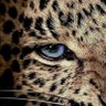 Profilbild von unkn.97200