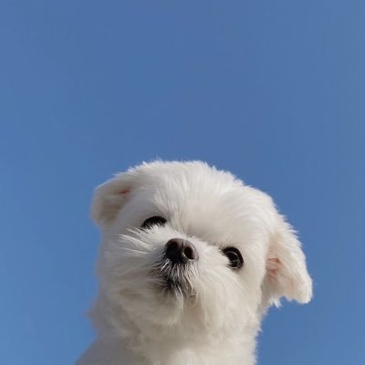 𝙈𝙚. ꔛ's profile picture