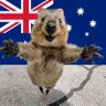 Quokka 🇦🇺 🇨🇾 profil fotoğrafı