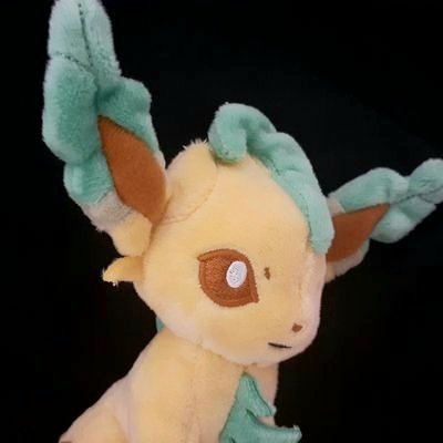 saeleafeon🌿サエリ's profile picture