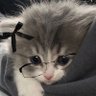 Suhmera's profile picture