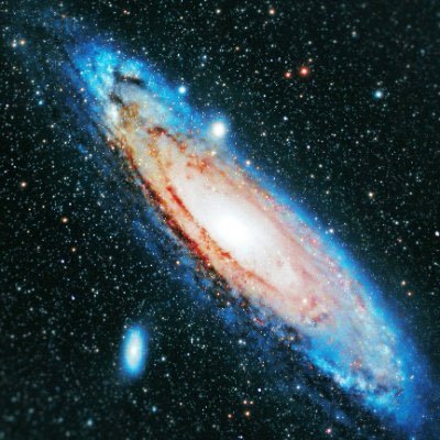 ✨Starkoins✨'s profile picture