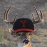 Profilbild von Whitetail Witness Ŧ🌵🦅