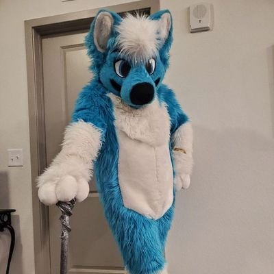 fizzy husky's profile picture