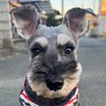 Profilbild von Jimmy