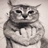 Profilbild von kittyguy