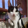 Noms's profile picture