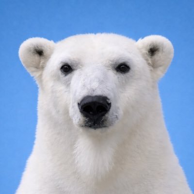 honobono_peace_'s profile picture