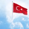 gıtsedekrtlsk 的头像