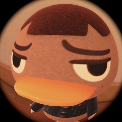 ddangduck's profile picture