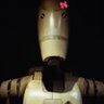 Roger roger's profile picture