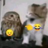 Krai Andrey profil fotoğrafı