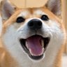 シヴァイヌ まろん 的头像