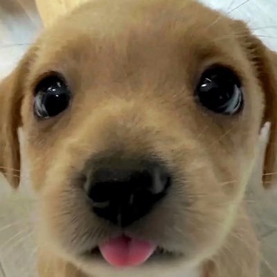멍이...'s profile picture