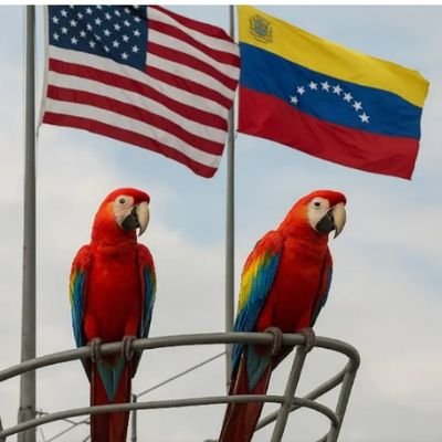 jsubero7's profile picture