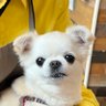 すすくん 的头像