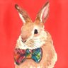 yossy's profile picture