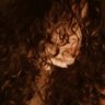 Profilbild von da