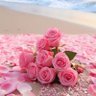 Фото профиля غردي بسلام 🤍