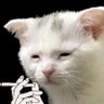 Profilbild von uyyyy